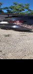 продам BMW X3 в пмр  фото 3