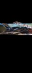продам Toyota Land Cruiser 100 в пмр  фото 3