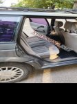 продам Volkswagen Passat в пмр  фото 4