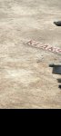 продам  Комплектующие двигатели и их запчасти в пмр  фото 2