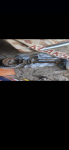 продам Mercedes-Benz Sprinter в пмр  фото 2
