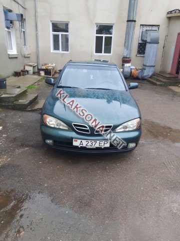 продам Nissan Primeraв пмр  фото 5