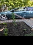 продам Nissan Primera в пмр  фото 3